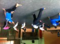 /album/capoeira/img-0020-1-jpg1/